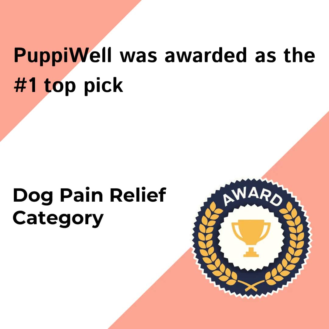puppi-well-image-21
